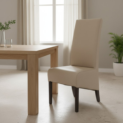 Diseño 10x Conjunto de sillas de restaurante para comedor Grupo de sillas tapizadas para gastronomía