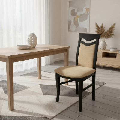 Madera 20x Conjunto de sillas de restaurante Grupo de comedor Sillas acolchadas Gastro Nueva silla