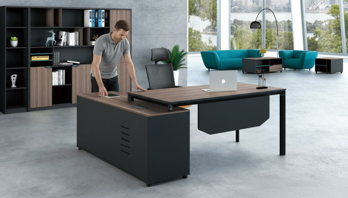 Mueble de oficina de 2 piezas. Conjunto de escritorio de jefe + archivador. Mesas estantería escritorio.