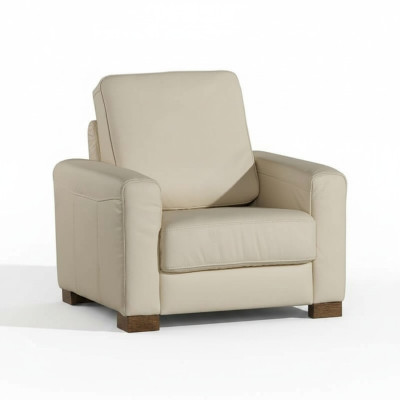 Silla individual Sofá lounge Sofá individual Sofá individual Sofá de sala Muebles de sala Sofás Nuevos
