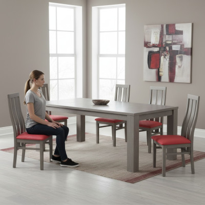 Juego de comedor 6 piezas Set de sillas de comedor Set completo de sillas Conjunto completo