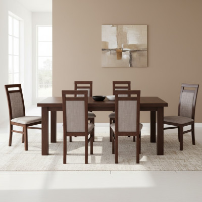 Silla de salón Conjunto de grupo Silla de comedor Grupo completo de 6 sillas de salón