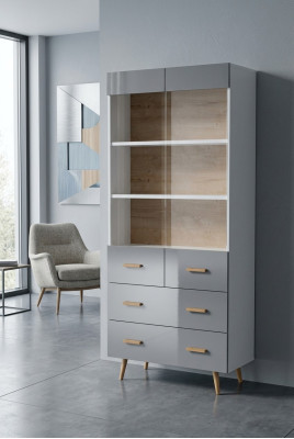 Vitrina Aparador Armario Estante Estilo Moderno Colección Sala de Estar Gris Vitrinas