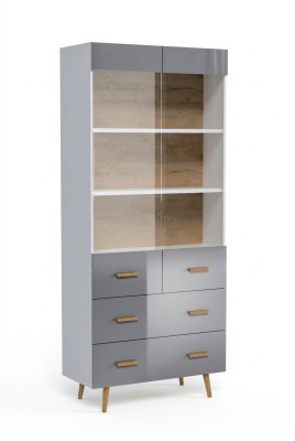 Vitrina Aparador Armario Estante Estilo Moderno Colección Sala de Estar Gris Vitrinas