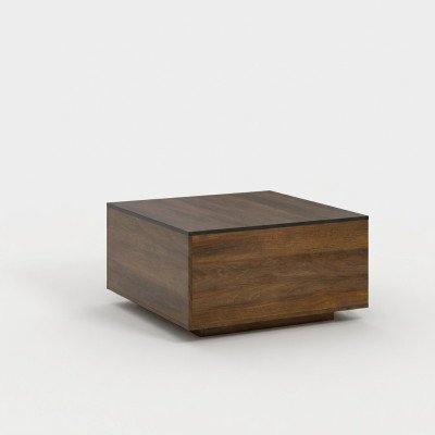 Mesa de centro Mesas Diseñador Mesa auxiliar Nueva Mesa de salón Mesas de centro Madera