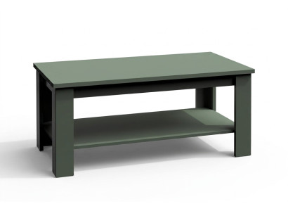 Mesa auxiliar de muebles masivos Mesa de centro de madera 120x60cm Nuevo Mesas