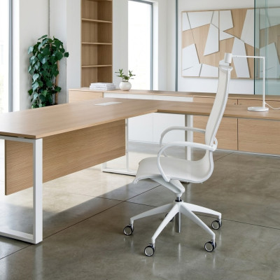 Silla de computadora Silla giratoria Silla de escritorio Silla de oficina Sillón Sillón ejecutivo Sillón reclinable