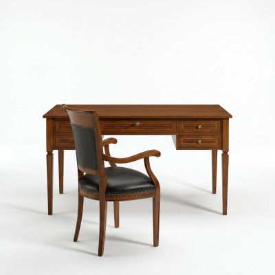 Sillas tapiz silla conjunto madera cuero respaldo suite comer asiento mesas 1x Nuevo.