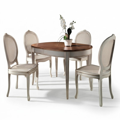 Mesa de comedor Establecimiento de sillas Sillón Grupo de muebles Conjunto completo de 5 piezas.
