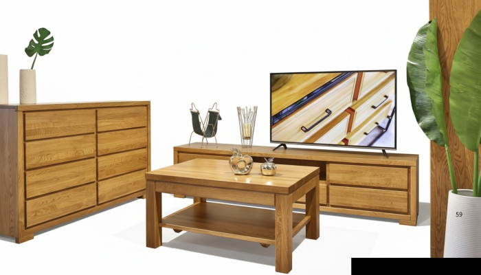 Mesa auxiliar Mesa de centro Madera maciza Roble Mobiliario macizo Roble 120x80 cm Nuevo Mesas