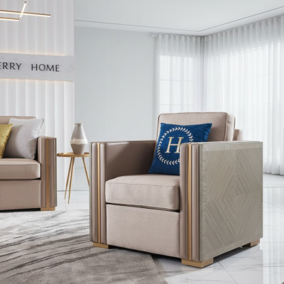 Muebles de sillón de lujo para la sala de estar, sillón de una plaza, sofá, sofá, salón, club, hotel.
