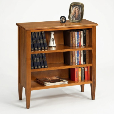 Armario de libros vitrina Gabinete de coleccionista Estante Madera maciza Muebles Estantes Armarios Nuevo