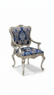 Silla de respaldo Cadeira Braço Cadeira estofada Cadeira de luxo Sala de jantar Estampado