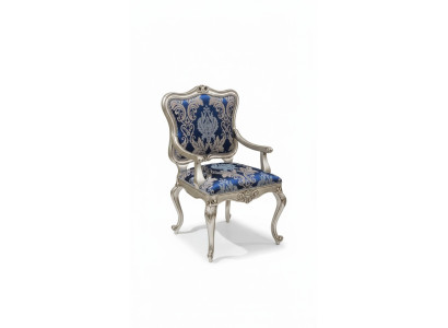 Silla de respaldo Cadeira Braço Cadeira estofada Cadeira de luxo Sala de jantar Estampado