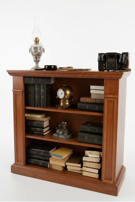 Estante de libros Vitrina Armario de vitrina Armario clásico Librería de madera Nuevo