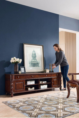 Mueble de sala, armario de TV, muebles, armarios, estante, aparador bajo, RTV.
