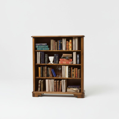 Vitrina de salón armario estante de libros aparador muebles clásicos estantes madera.