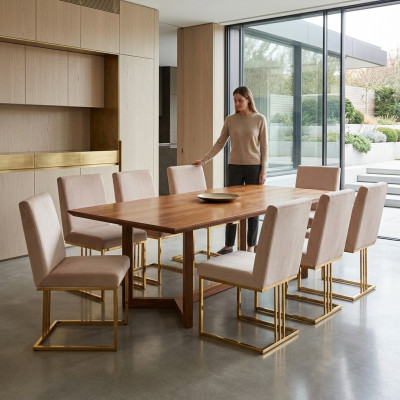 Diseño de grupo de 8 sillas con cojines, nuevo conjunto para gastronomía, sillas de comedor.
