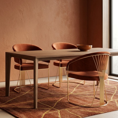 Conjunto de cocina sala de estar comedor Set de sillas de diseñador 2x sillas