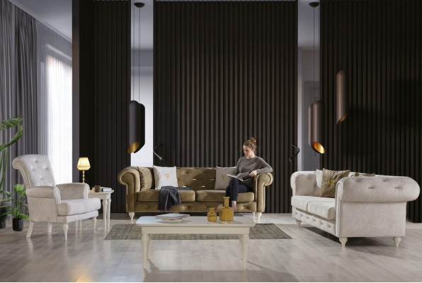 Elegante conjunto de sofás para la sala de estar, de tres plazas, de dos plazas, sillón de lujo y sofá.