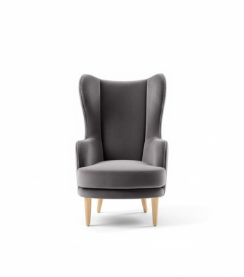 Sillón orejero Sillón Sillón club Sillón cocktail Sillón de lujo Asiento gris Asiento Sala de estar
