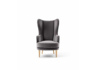 Sillón orejero Sillón Sillón club Sillón cocktail Sillón de lujo Asiento gris Asiento Sala de estar