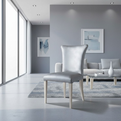 Silla de comedor silla asiento sillón sillas de comedor madera plata moderno lujo nuevo