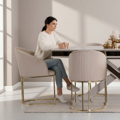 Mesa de comedor de lujo Silla de respaldo Muebles Mobiliario Cojín de asiento Sillas