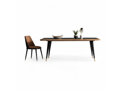 Mesa de comedor Mesa de vidrio Comedor Mesas 210x100 Mesas de comedor 210x100cm