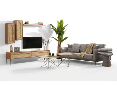 Armario de TV / Mueble bajo para TV, Sofá de 3 plazas, 2 mesas de centro, mueble de TV.