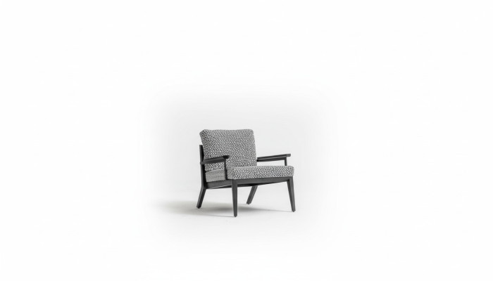 Sillón Asiento Sala de estar Diseño moderno Lujo Mobiliario de asiento Relajación Club