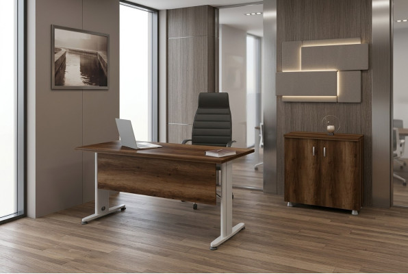 Set completo de muebles de oficina, armario de estudio, escritorio de 2 piezas.