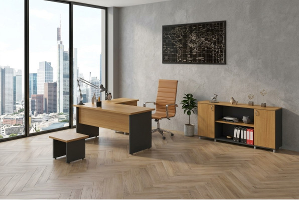 Mobiliario de oficina conjunto de estudio Muebles de oficina Escritorio del jefe Armario