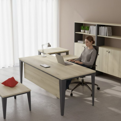 Diseñador Marrón Escritorio Muebles de oficina Mesas de madera Muebles de lujo Nuevos