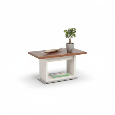 Mesa de centro marrón de madera con estante marrón Muebles exclusivos para la sala de estar.