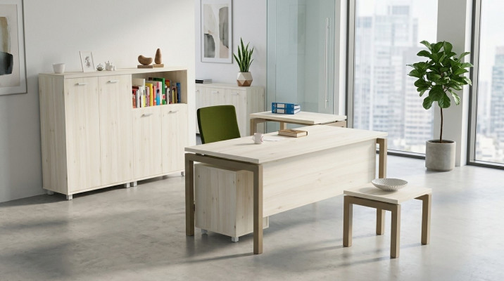 Muebles de oficina Escritorio Cómoda Mesa consola Mesa de centro 2 armarios de archivo