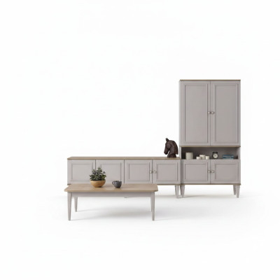 Conjunto de soporte de TV, armario RTV, estante bajo de salón, estanterías de sala de estar en madera gris.