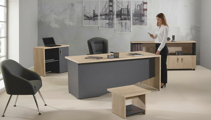 Mesa Muebles de oficina Muebles de estudio Escritorio Conjunto de 4 piezas Madera Gris