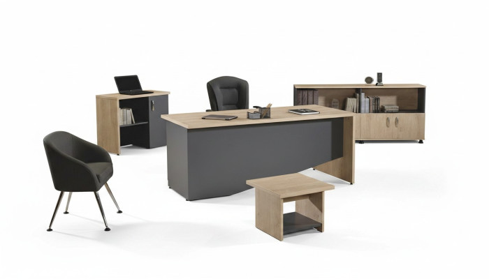 Mesa Muebles de oficina Muebles de estudio Escritorio Conjunto de 4 piezas Madera Gris
