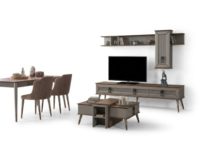 Conjunto de sala de estar de diseñador Soporte de TV Estantes de madera Mesa de centro Nuevo