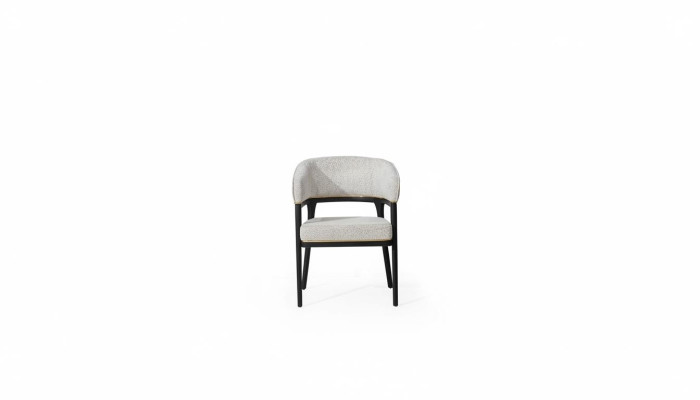 Silla de comedor blanco y negro Sillas de respaldo Sillas de comedor de diseñador Nuevas