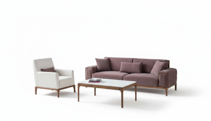Juego de sala: sofá de 3+1 plazas, mesa de centro, conjunto de sofá y sillón de diseño moderno.