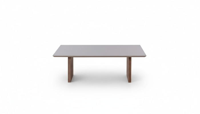 Mesa de centro 120 x 68 Mueble Mesa Mobiliario Mesas de madera Moderno Muebles