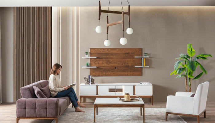 Conjunto de sofá moderno de 5 piezas, muebles exclusivos para la sala de estar.