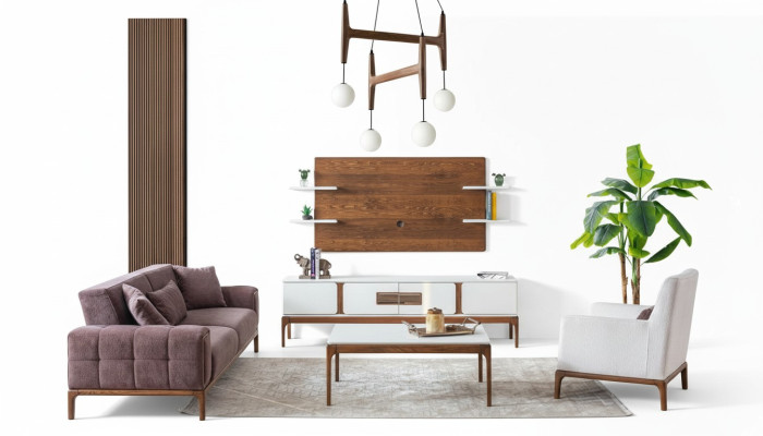 Conjunto de sofá moderno de 5 piezas, muebles exclusivos para la sala de estar.