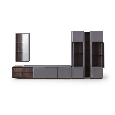 Conjunto exclusivo de sala de estar: mueble de TV, 2 vitrinas, estante de pared, 4 piezas.