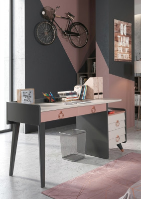 Escritorio de secretaría de diseño de muebles de escritura de lujo Escritorios de madera de alta calidad.