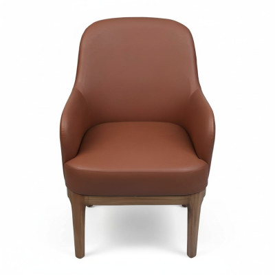 Silla de salón marrón de diseñador, individual de lujo, butaca.