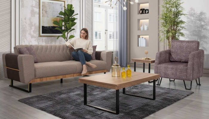 Elegante conjunto de sofás para la sala de estar de 3 plazas, juego de sofás tapizados de 2 piezas.
