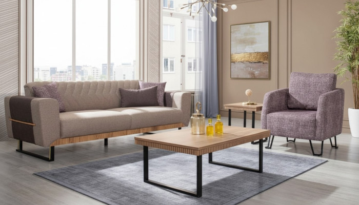 Elegante conjunto de sofás para la sala de estar de 3 plazas, juego de sofás tapizados de 2 piezas.